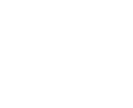 Annual Plan Icon