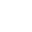 Custom Plan Icon